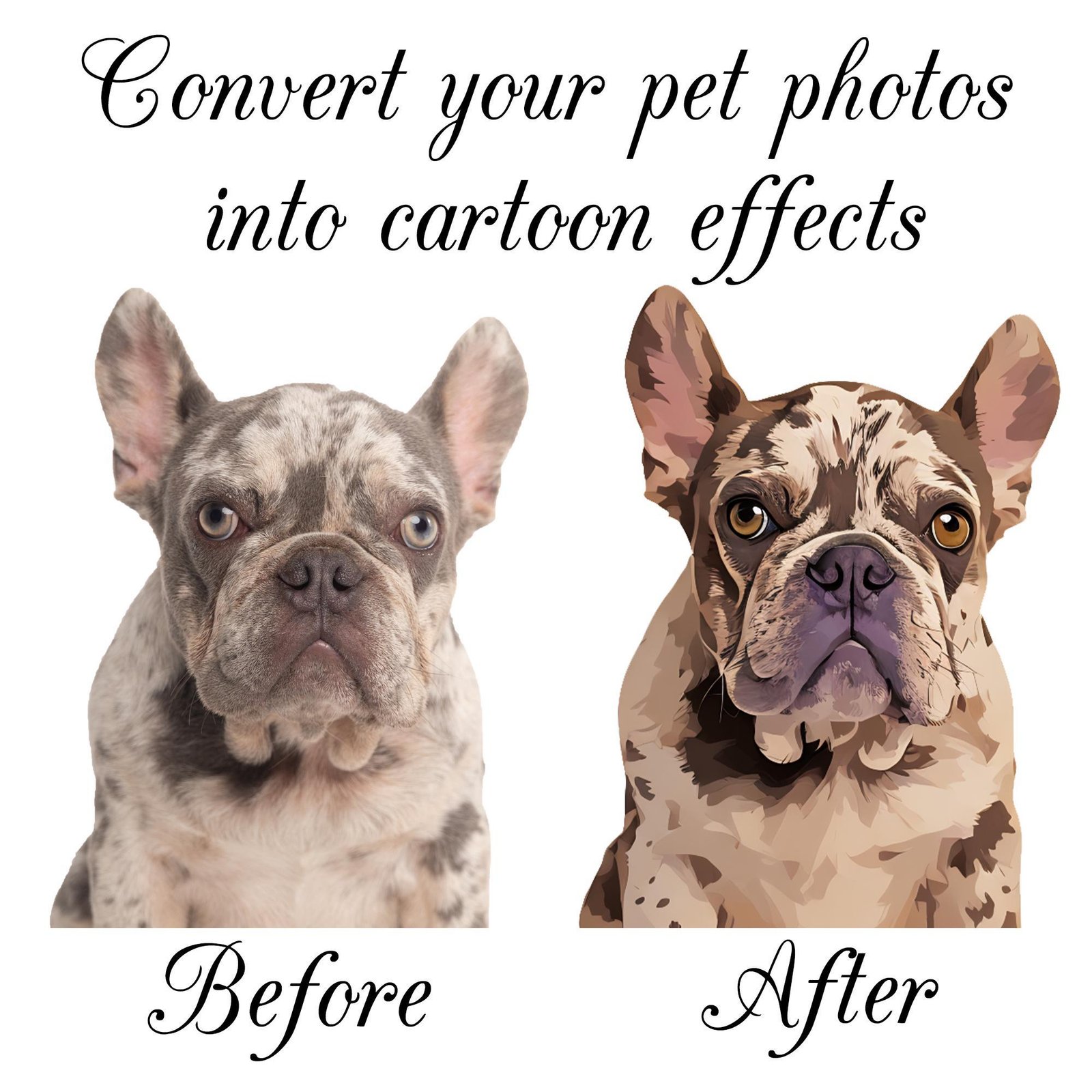 How your pet photo becomes a cartoon portrait